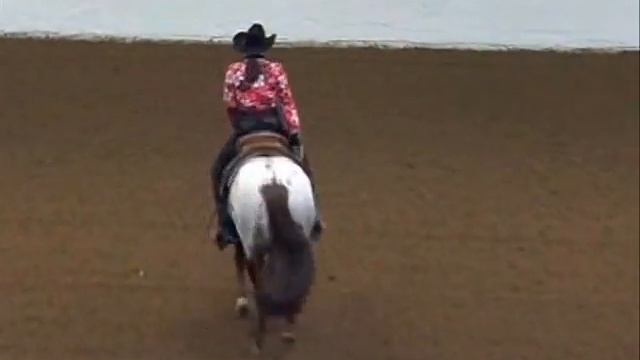 Inpassable '06 World Champion Western Riding смотреть онлайн