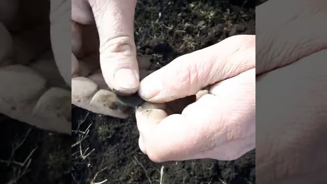 1 копейка 1835 год