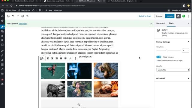 Magnitude | Best Gutenberg Compatible Responsive WordPress Theme смотреть онлайн
