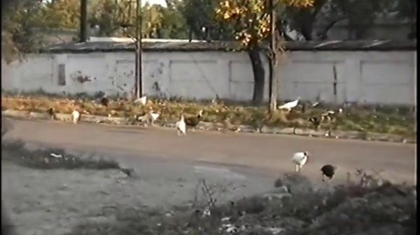 Болград 1997 год.(33)(Личный архив)