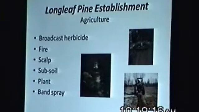 Longleaf Pine Establishment And Management смотреть онлайн