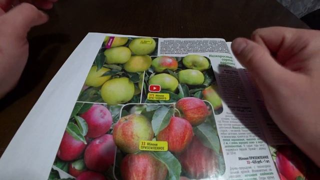 Сады России. Каталог Осень 2021. смотреть онлайн