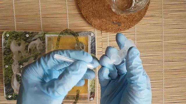 Как сделать поилку для муравьев. Самодельная поилка! смотреть онлайн