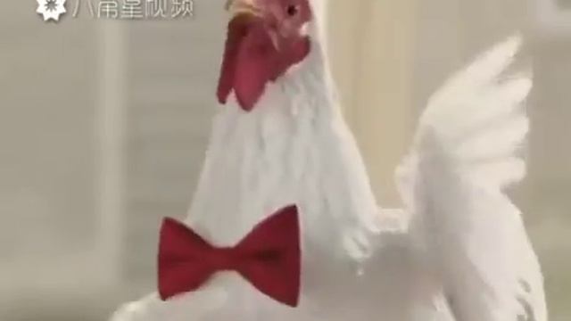 Они поют лучше чем... смотреть онлайн