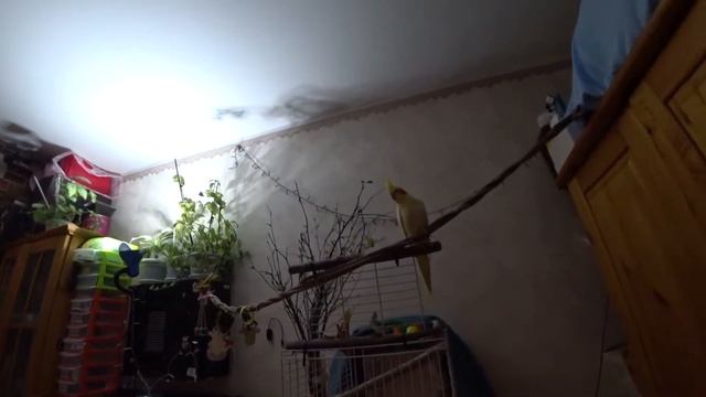 экшн камера sony FDR-x3000 тест смотреть онлайн