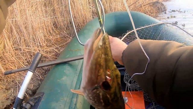 Воскресная рыбалка на щуку. Закрытие сезона на реке Бурлук. смотреть онлайн