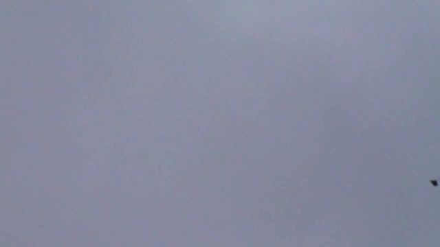 Хорошая погода для полётов голубей(30.03.2019) г. Павлоград смотреть онлайн