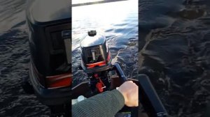 Меркури 5 л.с.