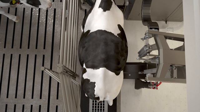 Lely Astronaut A5 - The Art Of Milking (русский)