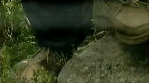 Искатели.В поисках Ноева Ковчега