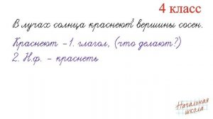 Морфологический разбор глагола. 4 класс #русский