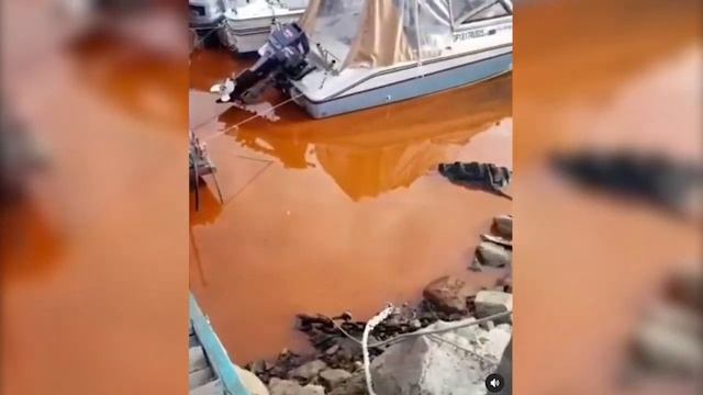 Акватория бухты Диомид во Владивостоке окрасилась в оранжевый цвет смотреть онлайн