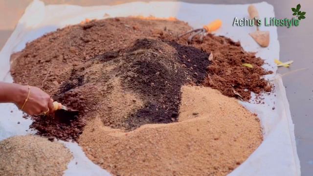 Adenium | How to pot Online Adenium seedlings | Care & Potting mix | Achu’s Lifestyle смотреть онлайн