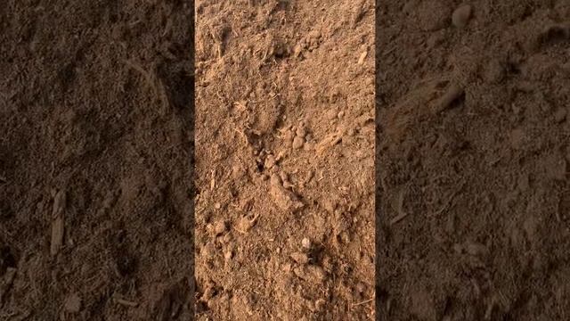 Кислый торф для голубики смотреть онлайн