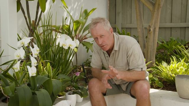 The Garden Gurus - Repotting Orchids смотреть онлайн