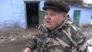 Николаевские голуби. 80 лет по жизни с голубями.