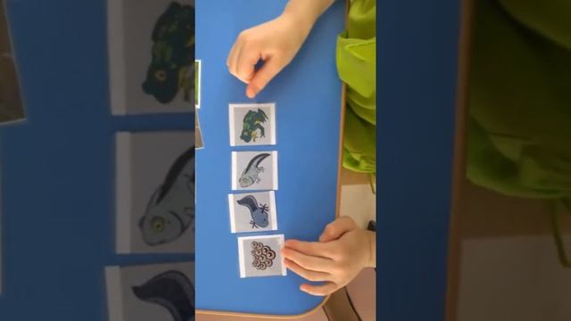 Экологический лэпбук по экосистеме «Водоём» смотреть онлайн