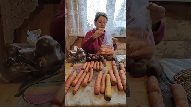 ?ЗИМНЕЕ ХРАНЕНИЕ МОРКОВИ И СВЕКЛЫ??ЛУЧШИЙ СПОСОБ ПРОВЕРЕННЫЙ ГОДАМИ??? ЛЕЖИТ ДО СЛЕДУЮЩЕГО ЛЕТА??? смотреть онлайн