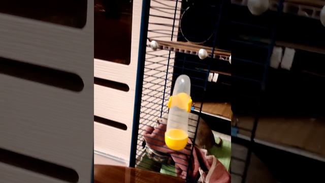 Ходят тут всякие! А потом еда пропадает!!! смотреть онлайн