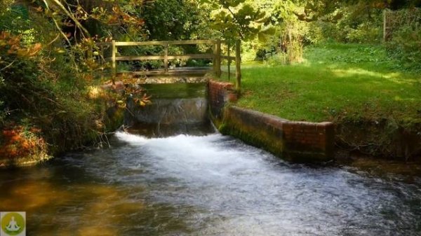 4K Relaxing River Sounds | Peaceful Forest River | for meditation, relaxation, sleep