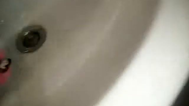 Заморозка животных часть 1