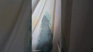 Обои вздулись после поклейки?😡😡 #ремонт #обоипоклейка#лайфхак🥵😡