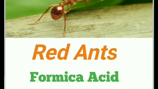 Name of Acid Present in food and fruit and Formulas смотреть онлайн