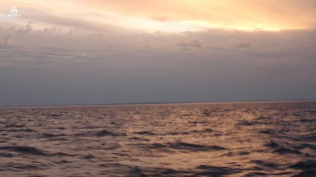 Дорога на Валаам смотреть онлайн