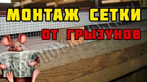 Сетка от грызунов | Каркасный дом своими руками | Часть 33
