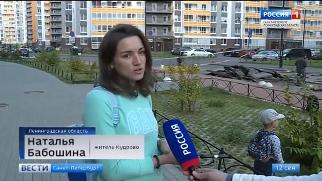На улице Столичной в Кудрово провалился асфальт