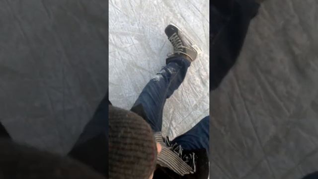 крокодил на льду смотреть онлайн