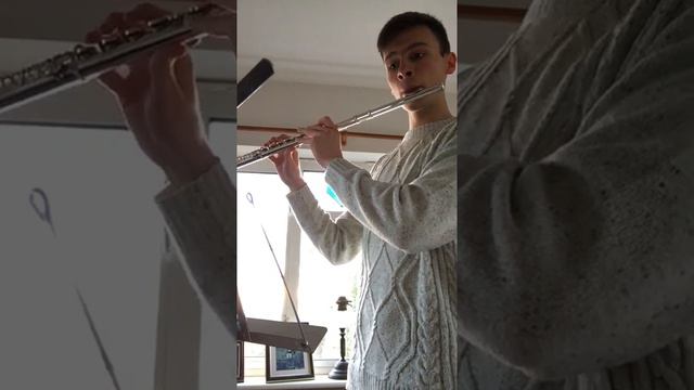 The Krusty Krab Theme Song on the Flute (From Spongebob Squarepants) смотреть онлайн