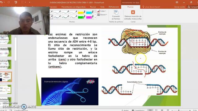 Clase 3 Manipulación genética en la agropecuaria смотреть онлайн