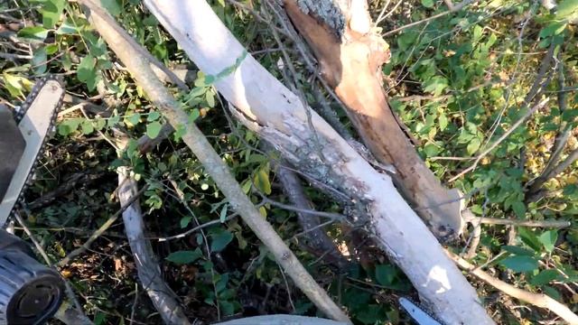 Купил новую аккумуляторную мини пилу, сравнение с WOSAI. Заготовка дров. смотреть онлайн