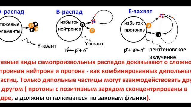 Ядро атома есть динамическая система. Neutron, Proton, Electron, Positron, Neutrino.