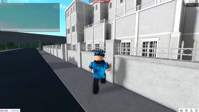How To Use 'FREE CAM' In Bloxburg!