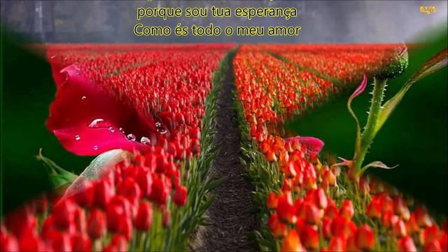 ALMA GÊMEA EMMANUEL CHICO XAVIER ROBERTO MIRANDA HD смотреть онлайн