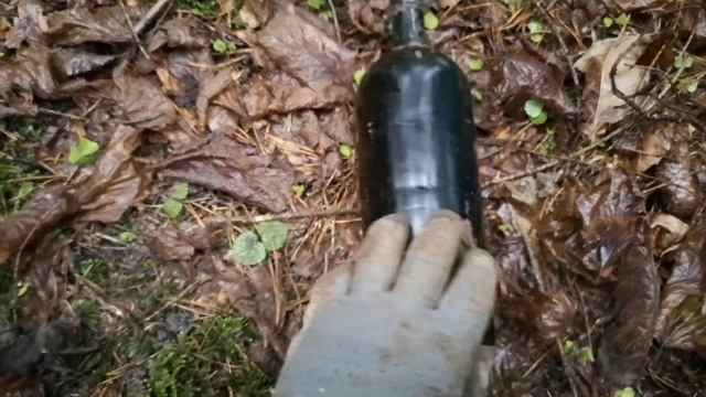 Лес под Ригой. Коп по войне. Барахлишко 3. Серебро в помойке. смотреть онлайн