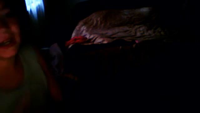 Видео C веб-камеры от  3 октября 2015 г., 15:09 (UTC)