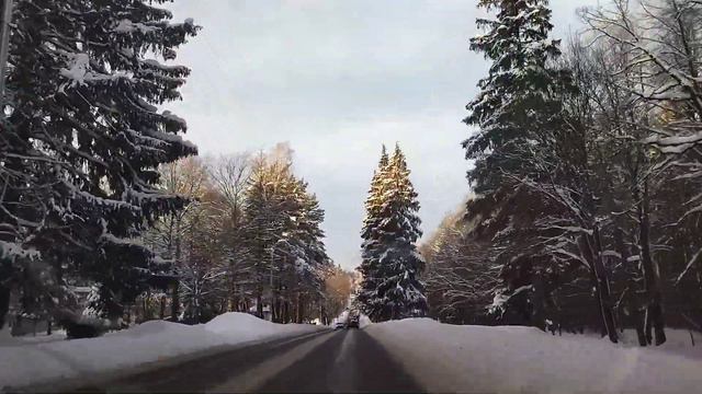 ФМС Сахарова ФМС России 🇷🇺🇷🇺🇷🇺🇷🇺🇷🇺 Урмонлари дахшат жуда хам чиройли жойлар. гап йук. смотреть онлайн