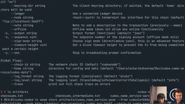 How Easy is it to Create a New Decentralised Application Project? (Plus a Little on Rust-lang) смотреть онлайн
