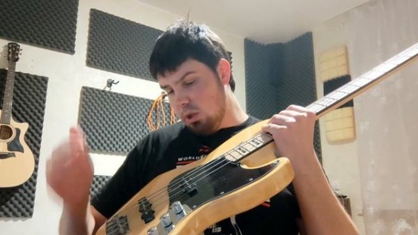 Обзор бас-гитары DeSalvo Jazz Bass / Ставлю дешёвый гриф на дорогую деку Fender / Гитаростроение /