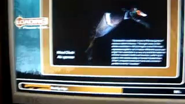 bird hunter 2003 смотреть онлайн