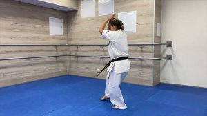 Идо гейко + ката каратэ киокушинкай 1-й кю