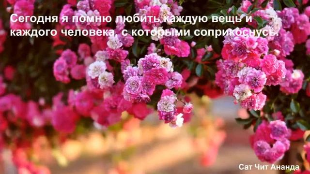 19 День. Медитация. Жить в любви.
