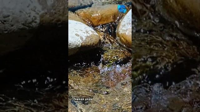 Слоу-Мо - Рыба прыгает на порогах реки. #slowmo #short #slowmotion #water #river смотреть онлайн