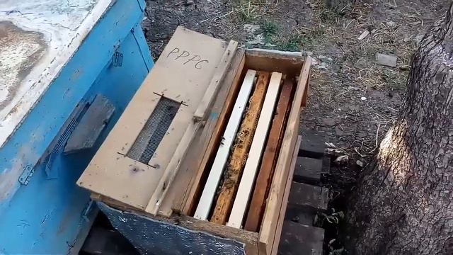 5 июля 2018 г. смотреть онлайн