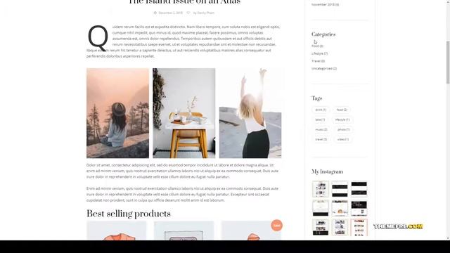 Kotone - A Responsive Blog and Shop WordPress Theme wordpress theme blog minimal blog template смотреть онлайн