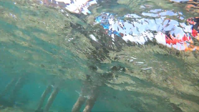 Shark Experience Cape Verde смотреть онлайн
