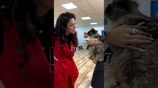 Юлия Такшина: «Артист не держит текст!» ? смотреть онлайн